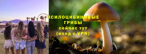 спиды Переславль-Залесский