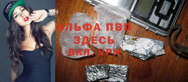 ECSTASY Пересвет