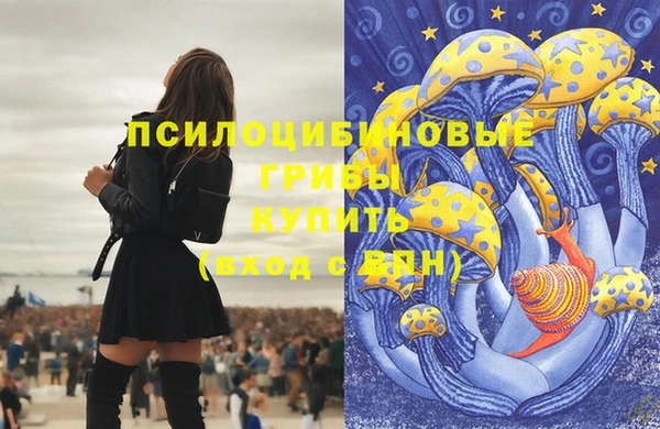 ECSTASY Пересвет